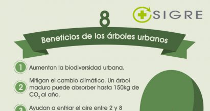 8 beneficios de los árboles urbanos