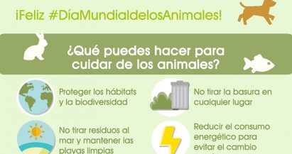 Día Mundial de los Animales: Cuidando del entorno, cuidas de ellos